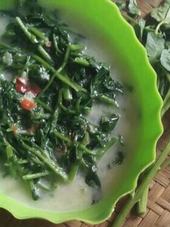 Foto resep Lodeh jembak (selada air)