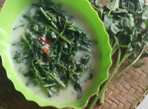 Foto resep Lodeh jembak (selada air)