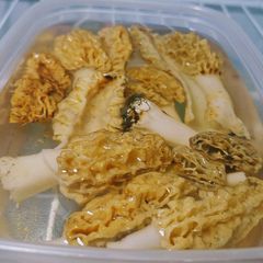 A picture of Morels with garlic herb butter and ranch seasoning.
