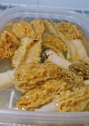A picture of Morels with garlic herb butter and ranch seasoning.