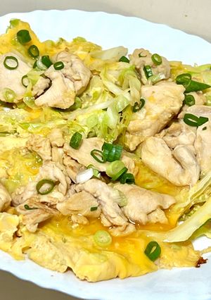 減脂必吃！高麗菜雞胸肉煎蛋🍳 的食譜成品照片