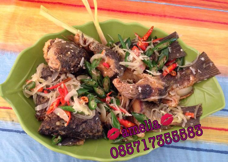 Resep Ikan Mas Cabai Hijau, Sempurna