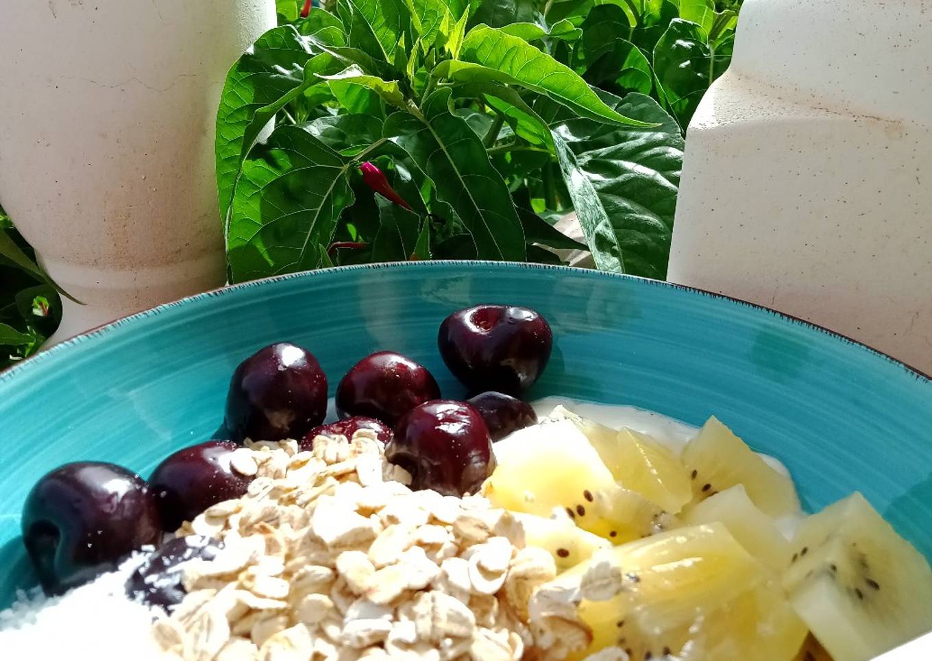 Yogur con avena y frutas