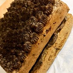 A picture of Chocolate chip mint cake.