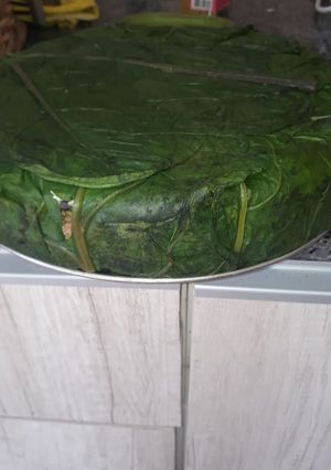 Una foto de Torta de acelga!! 🤤