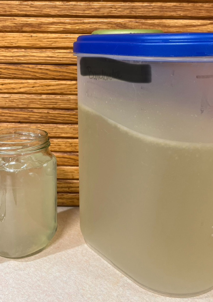 A picture of Refreshing Lemonade.