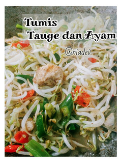 Foto resep Tumis tauge dan ayam