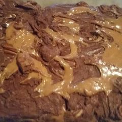 A picture of Turtle Fudge.