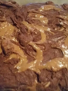 A picture of Turtle Fudge.
