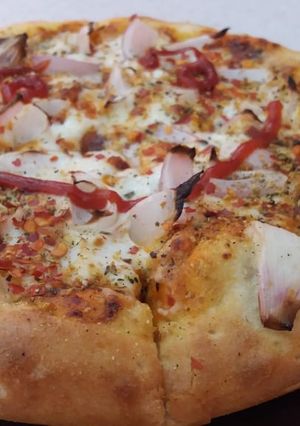 A picture of Onion pizza.