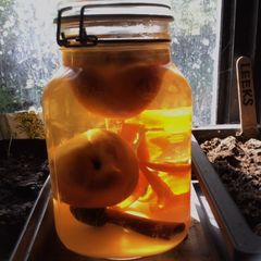 A picture of California Farm Poire William Liqueur.