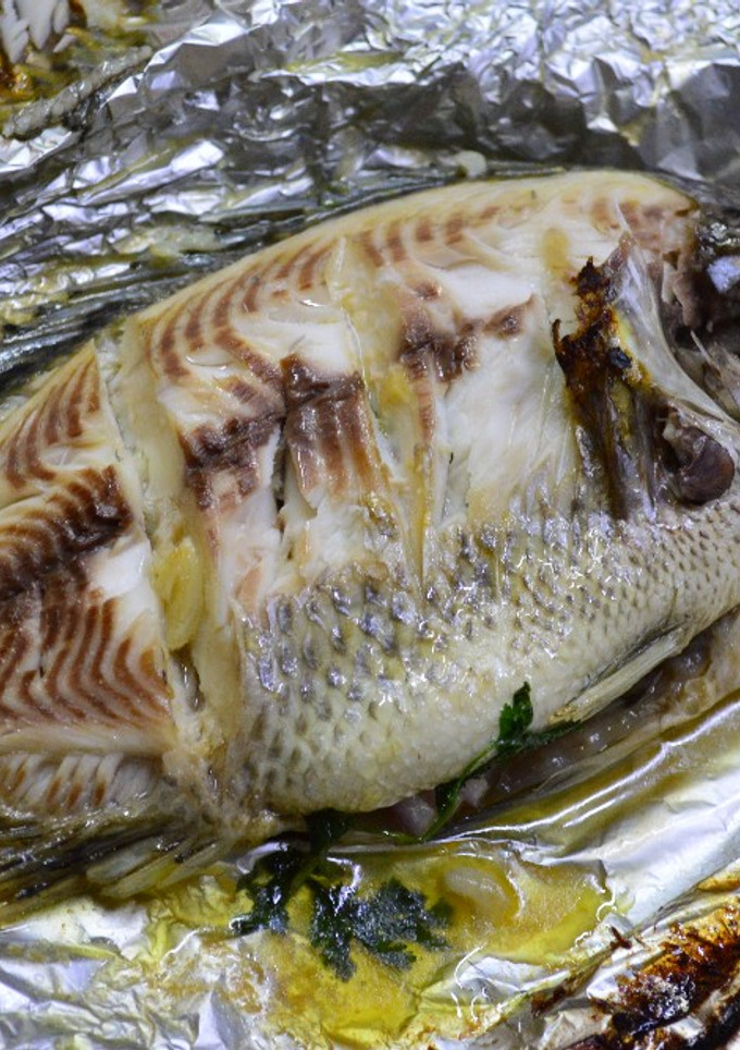 Una foto de Mojarra empapelada