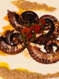 Spicy Black Olive Octupussy - Pulpo en salsa Brava y Aceitunas Negras