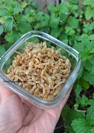 Foto resep Teri Nasi Crispy Gluten-free