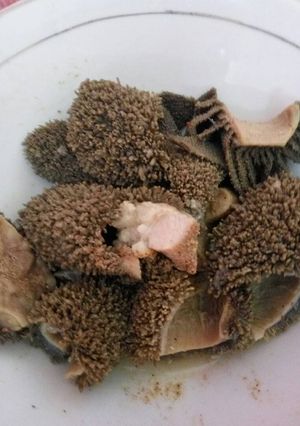Foto resep Babat Goreng Gurih