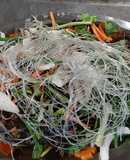 Cá chép hấp tương hột hoặc gọi là chưng tương