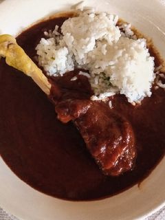 Una foto de Mole negro
