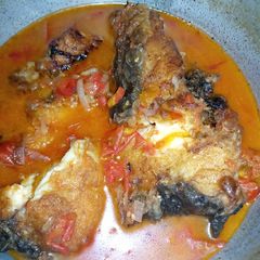 A picture of Lung fish.