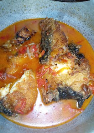 A picture of Lung fish.