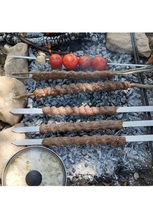 عکسی از دستور کباب کوبیده در طبیعت