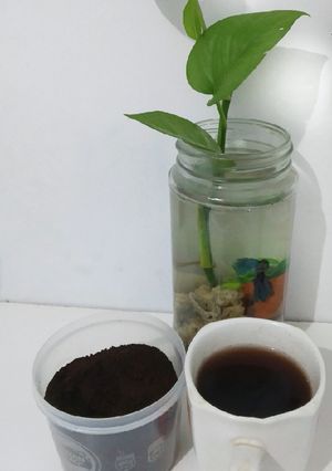 Foto resep Kopi biji kurma