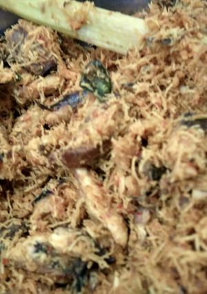Foto resep Serundeng tongkol