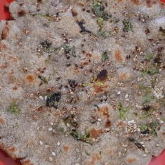 A picture of Bajra Roti.