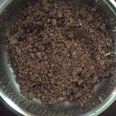 A picture of Ragi puttu.