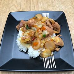 A picture of Braised chicken with vegetables on rice.