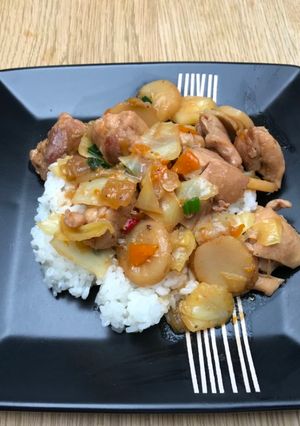 A picture of Braised chicken with vegetables on rice.