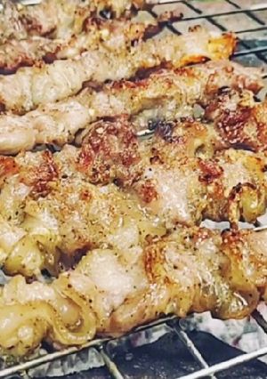 รูปของ หมูปิ้งเกลือ