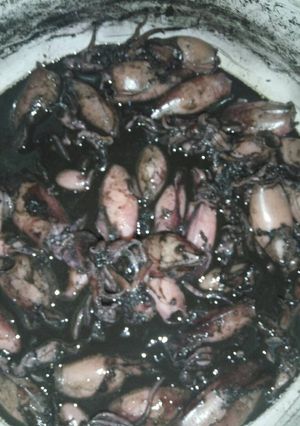 Foto resep Masak cumi enak simple