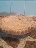 Tarta de crema pastelera y dulce de batata con crumble