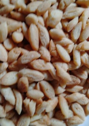 Foto resep Biji Ketapang gurih,renyah tanpa kelapa parut
