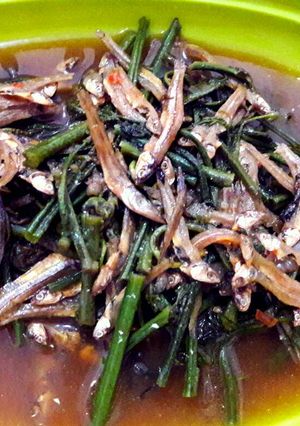 Foto resep Tumis Pakis (Paku) Ikan Teri