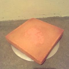 A picture of Simple vanilla cake.