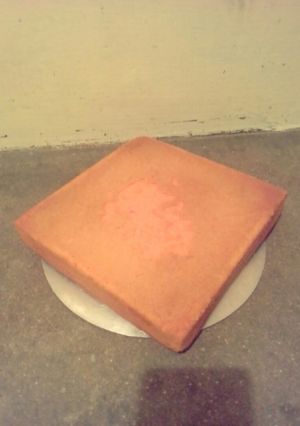 A picture of Simple vanilla cake.