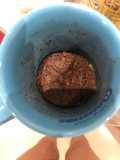 Bolo de caneca de chocolate