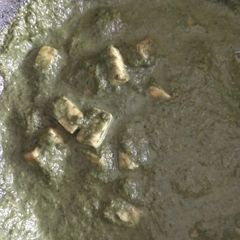 A picture of Palak paneer.