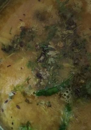 A picture of Coriander daal.