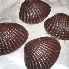A picture of Chocolate Sheel.