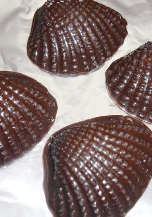 A picture of Chocolate Sheel.