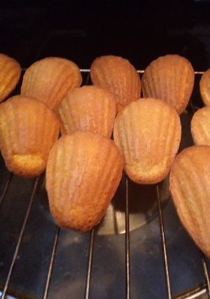 Une photo de Madeleines au citron