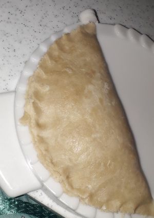 A picture of Meat pie.