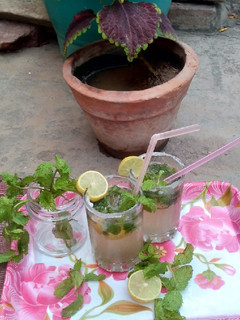 मोजीतो (Mojito recipe in hindi) रेसिपी मुख्य फोटो