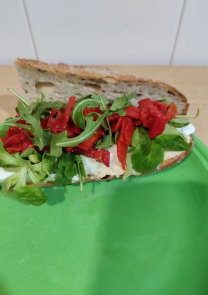 A picture of Healthy Sandwich.