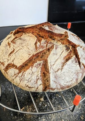 A picture of No-knead rustic sourdough bread.