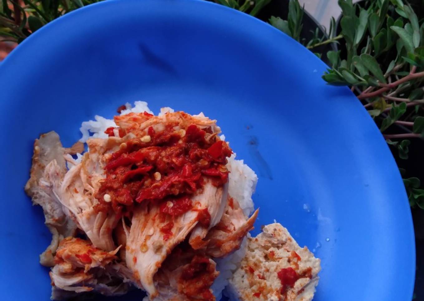 Nasi ayam geprek ala2