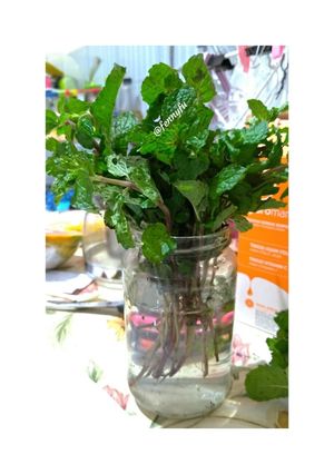 Foto resep Cara Menyimpan Daun Mint