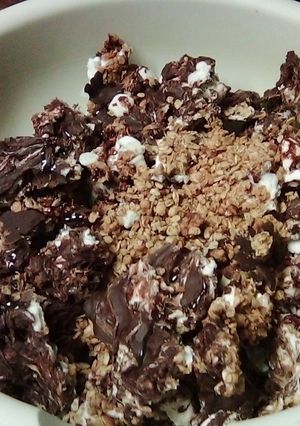A picture of Granola s'mores.
